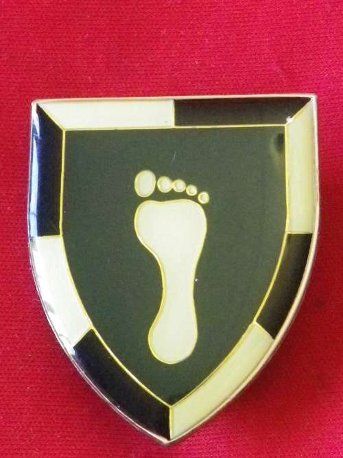 1 SWA SPECIALIST UNIT LEFT HAND POCKET FLASH  - ALL PINS  DINNES 5287   45mm X 32mm      (2514)