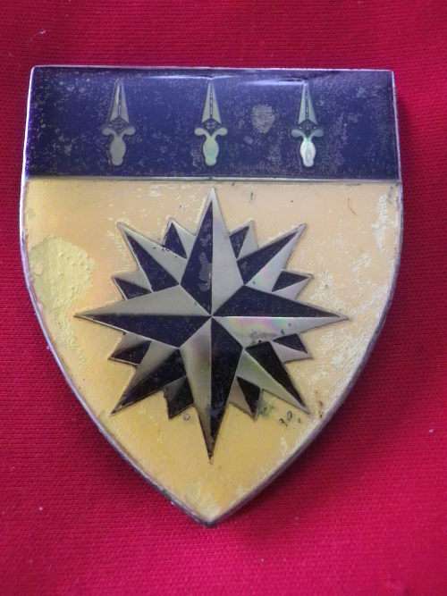 SADF 1 RECCE REGT. FLASH - SOME WEAR - DINNES 4374    (3521)