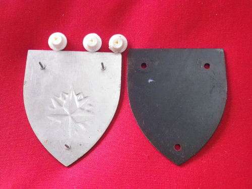 SADF 1 RECCE REGT. FLASH - SOME WEAR - DINNES 4374    (3521)