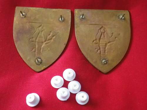 SWAT "OP COBRA" PAIR SHOULDER FLASHES - FANTASY ?      (3534)