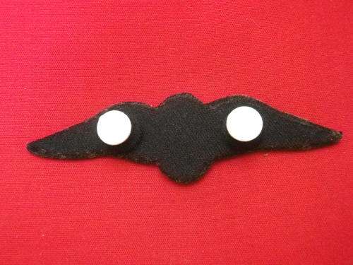 SAAF - PILOTS WINGS RUBBERISED EMBOSSED     (3137)