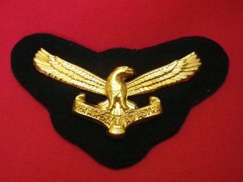 SAAF - OFFICERS GILT CAP BADGE + PADDED BACKING     (3136)