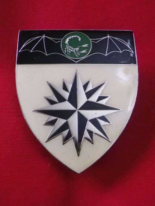 SADF - 2 RECCE REGT. RH SHOULDER FLASH      - DINNES 4377    (2678)