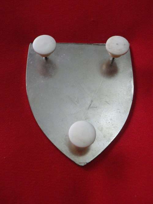 SADF - 2 RECCE REGT. RH SHOULDER FLASH      - DINNES 4377    (2678)