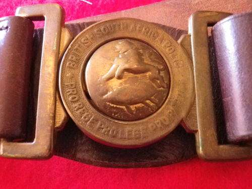 RHODESIA - BSAP LEATHER BELT WITH 1ST PATTERN BUCKLE - POLISHED - MAX LENGTH 102 CM / 40"  (2625)