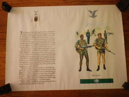 SELOUS SCOUTS - "UNIFORMS OF THE RHODESIAN SECURITY FORCES" POSTER 60.5 X 44 -(5339)