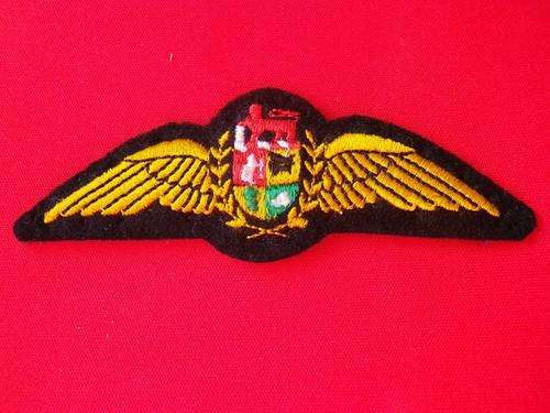 SOUTH AFRICAN AIR FORCE PILOTS WINGS 1993-2003 (DINNES 3347)