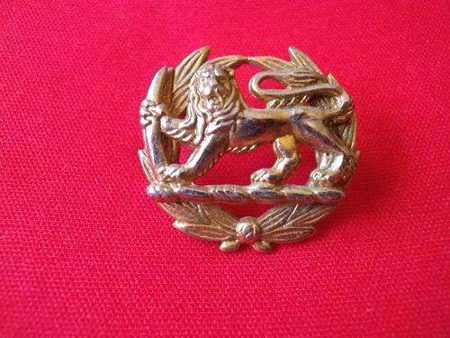 RHODESIA ARMY OFFICERS GOLD ANODISED RANK LION ON WREATH BADGE - MAJOR UPWARDS -  UDI PERIOD