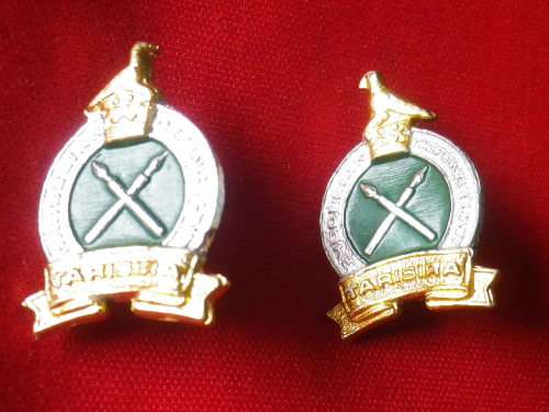 RHODESIAN DEFENCE UNIT - BI COLOURED ANODISED + ENAMEL FACING PAIR COLLAR BADGES - UNCOMMON (5390)