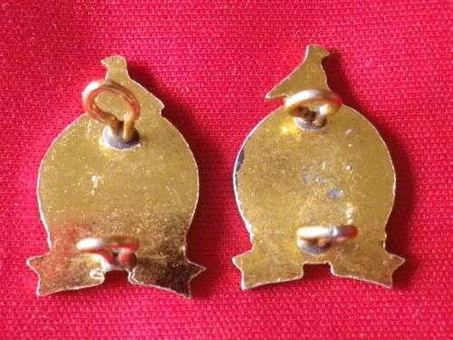 RHODESIAN DEFENCE UNIT - BI COLOURED ANODISED + ENAMEL FACING PAIR COLLAR BADGES - UNCOMMON (5390)
