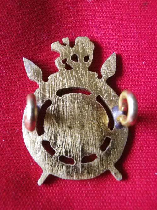 RHODESIAN INTELLIGENCE CORPS - GOLD ANODISED + ENAMEL CAP BADGE   (5395)