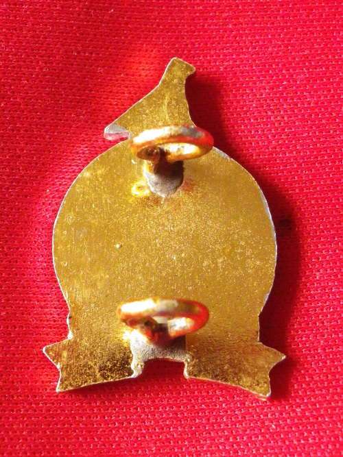 RHODESIAN DEFENCE UNIT  - BI COLOURED ANODISED + ENAMEL CAP BADGE     (3365)