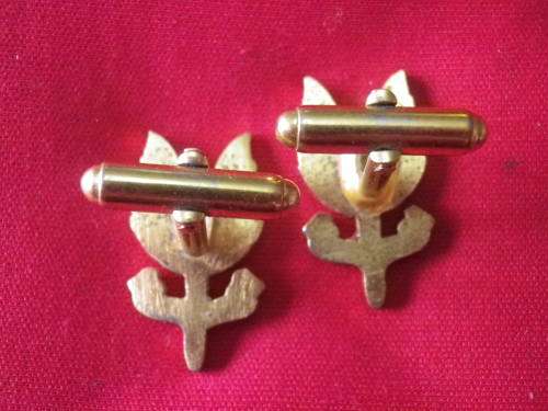 RHODESIAN SAS C SQUADRON  - PAIR GILT + ENAMEL CUFFLINKS, CIRCA EARLY 2000's      (1017)