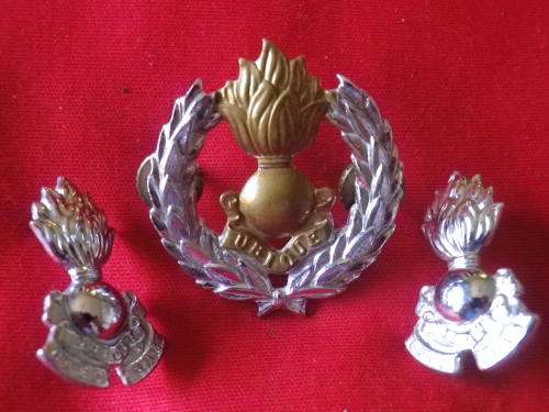 SADF - SA ENGINEERS CORPS BI METAL CAP BADGE + CHROMED COLLARS DINNES 348/351  (5967)