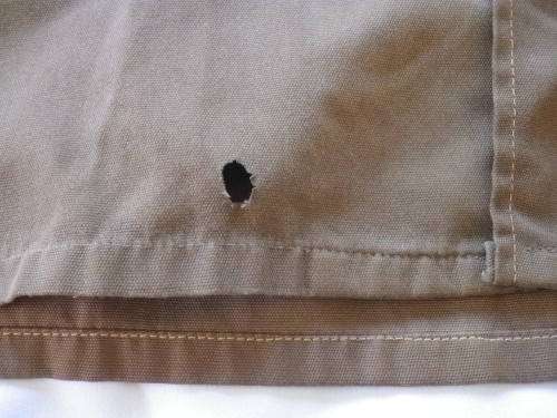 SADF- SET NUTRIA SHIRT + TROUSERS + JACKET - SEE BELOW   (4001)