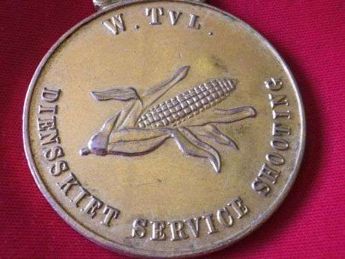 SADF - WESTERN TRANSVAAL SHOOTING MEDALLION  1981         (1598)
