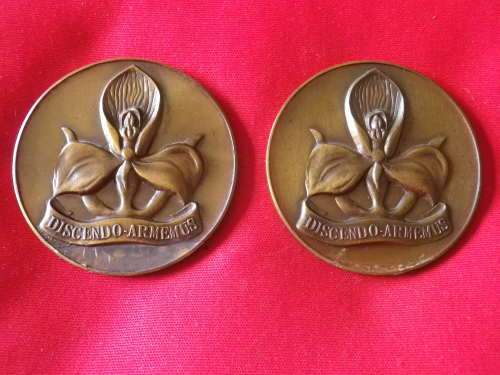 SADF - 2 X MILITARY ACADAMY 30 YEAR BRONZE MEDALLIONS - 1 APRIL 1980- GLUE RESIDUE  OD  50mm (1674)