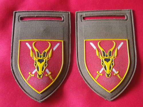 SADF - PAIR OF TUPPERS - SA ARMY HQ UNIT - DINNES 5357               (3699)