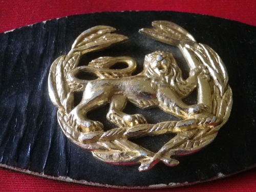 RHODESIAN ARMY - WO2 GOLD  ANODISED WRIST BADGE + STRAP    (2290)