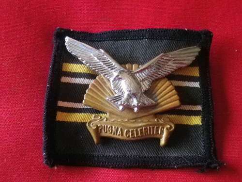 SADF - DURBAN REGT. BIMETAL CAP BADGE + BACKING    - (6875)