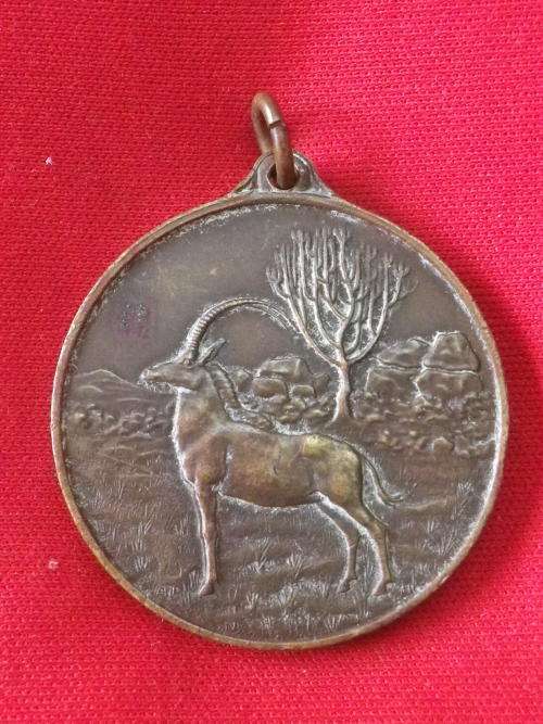 RHODESIA - MATABELELAND COMMEMORATIVE OCCUPATION MEDALLION  1933    (6937)
