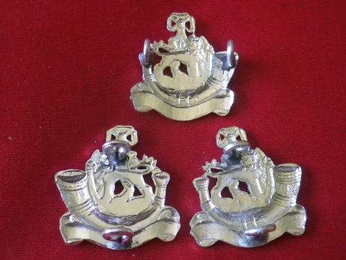 RHODESIA - RLI   SILVER ANODISED BERET + FACING PAIR COLLAR BADGES    (7035)