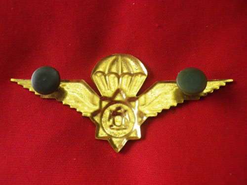 SA POLICE WINGS - OBSOLETE    (2547)