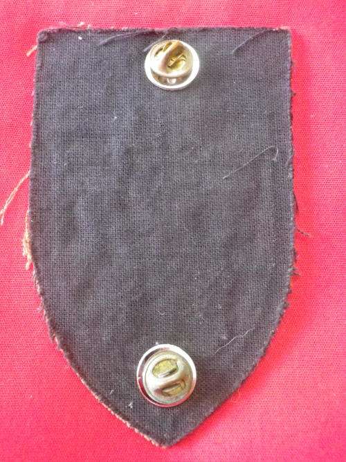 SADF - 44 PARA BRIGADE - 4 PARA BATTALION LH SLIP ON SUBDUED FLASH + PINS  -DINNES 5519    (2560)