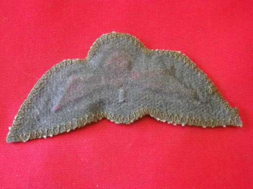 RHODESIAN ARMY - PADDED OPERATIONAL PARA WINGS FOR COMBAT DRESS - MOSTLY RLI & RAR            (3852)