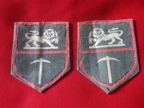 RHODESIAN ARMY FACING PAIR PRINTED SHOULDER PATCHES -          (3826)