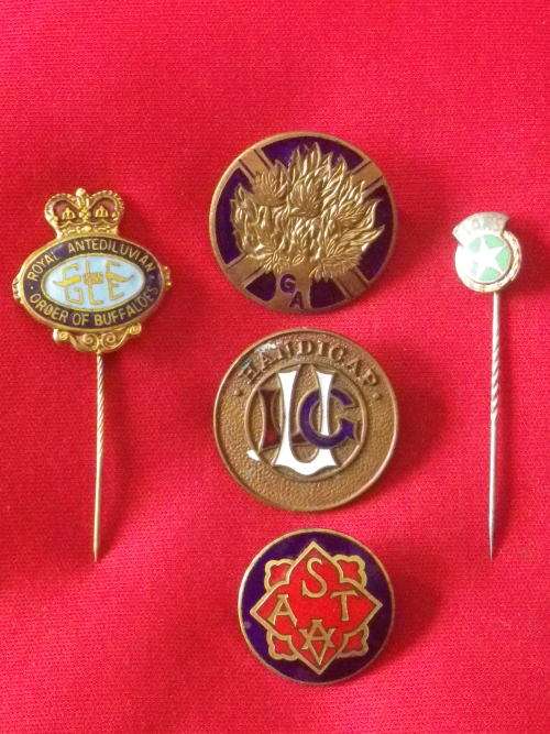 LOT MASONS ? BADGES - INC "ORDER OF THE BUFFALOES" LAPEL PIN  (531)