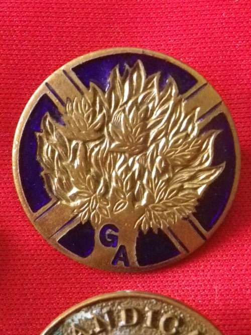 LOT MASONS ? BADGES - INC "ORDER OF THE BUFFALOES" LAPEL PIN  (531)