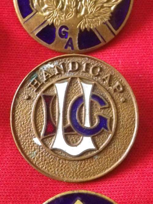 LOT MASONS ? BADGES - INC "ORDER OF THE BUFFALOES" LAPEL PIN  (531)