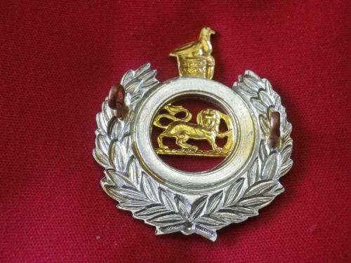 RHODESIA CORPS. OF ENGINEERS BI METAL CAP BADGE 1965-67          (3895)