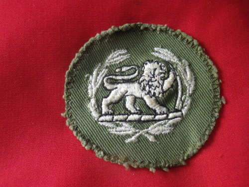 RHODESIAN ARMY - WO2 ARM BADGE FOR COMBAT DRESS     (3945)