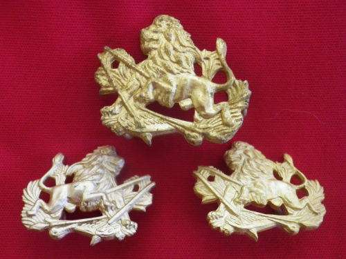 RHODESIA BSAP - GOLD ANODISED CAP + FACING PAIR COLLARS 1971-1981 (7427)