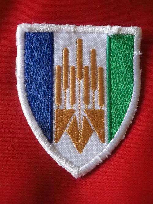 SWATF -   COPY - 101 BATTALION FLASH - SOLD AS FILLER   (7605)