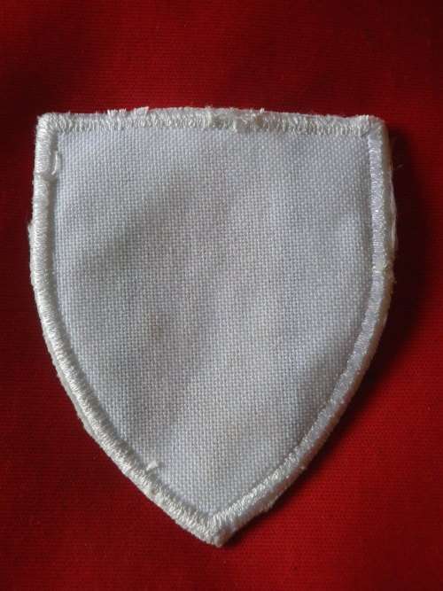 SWATF -   COPY - 101 BATTALION FLASH - SOLD AS FILLER   (7605)