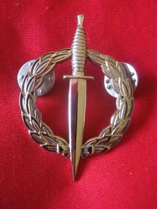 RECCE OPERATORS REPRO SILVER PROFICIENCY BADGE - SOLD AS FILLER     (2664)