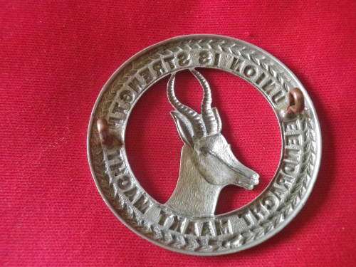 SA ARMY / CADETS?   - WW1 ERA HELMET SIZE WHITE METAL BADGE (OD 47mm)  (7642)