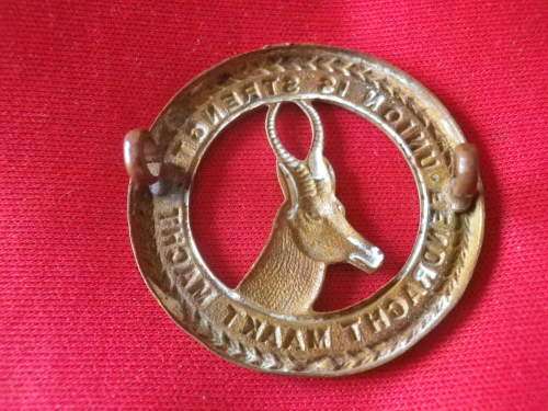 SA  - 1ST & 2ND INFANTRY BRIGADES - WW1 BRASS CAP BADGE    (7640)