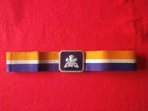 SADF - SA ARMOURED CORPS  STABLE BELT + BUCKLE  MAX LENGTH  122 cm / 48`                (4745)