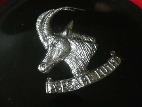 RHODESIAN PERIOD - 5 X RESIN COASTERS - GREYS, RLI, RR, RAR,  RhACR    DIAMETER 8cm           (1051)