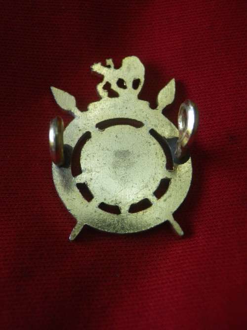 RHODESIAN INTELLIGENCE CORPS. - GOLD ANODISED + ENAMEL  CAP BADGE    (7758)