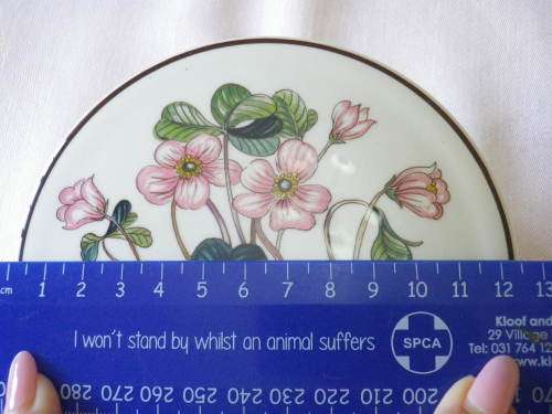 VILLEROY & BOCH `BOTANICA`  BOWL + LID -  DIAMETER 12.5cm - NO CHIPS OR CRACKS, GOOD CONDITION