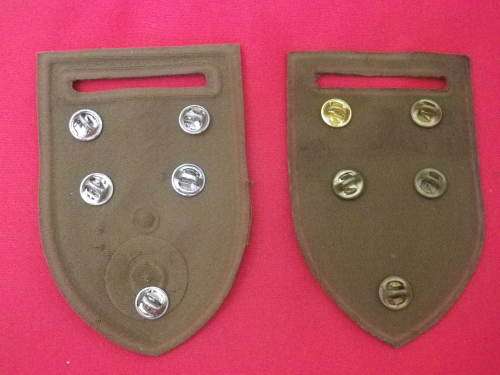 SADF - 44 PARA FACING PAIR OF SLIP ON FLASHES         (2789)