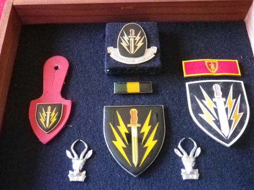 SADF - 61 MECHANISED FRAMED DISPLAY -SEE PICS,  FRAME SIZE 30cm X 24cm               (4898)