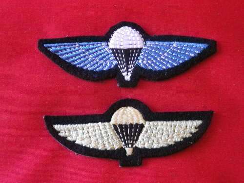 SA - HUNTERS GROUP - CLOTH WING REPLICA BADGES     (6515)