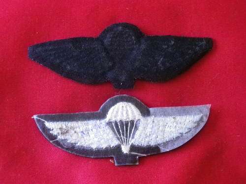 SA - HUNTERS GROUP - CLOTH WING REPLICA BADGES     (6515)
