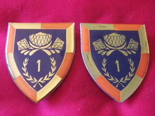SADF - 1 SPECIAL SERVICE BATTALION  PAIR OF FLASHES        (4915)